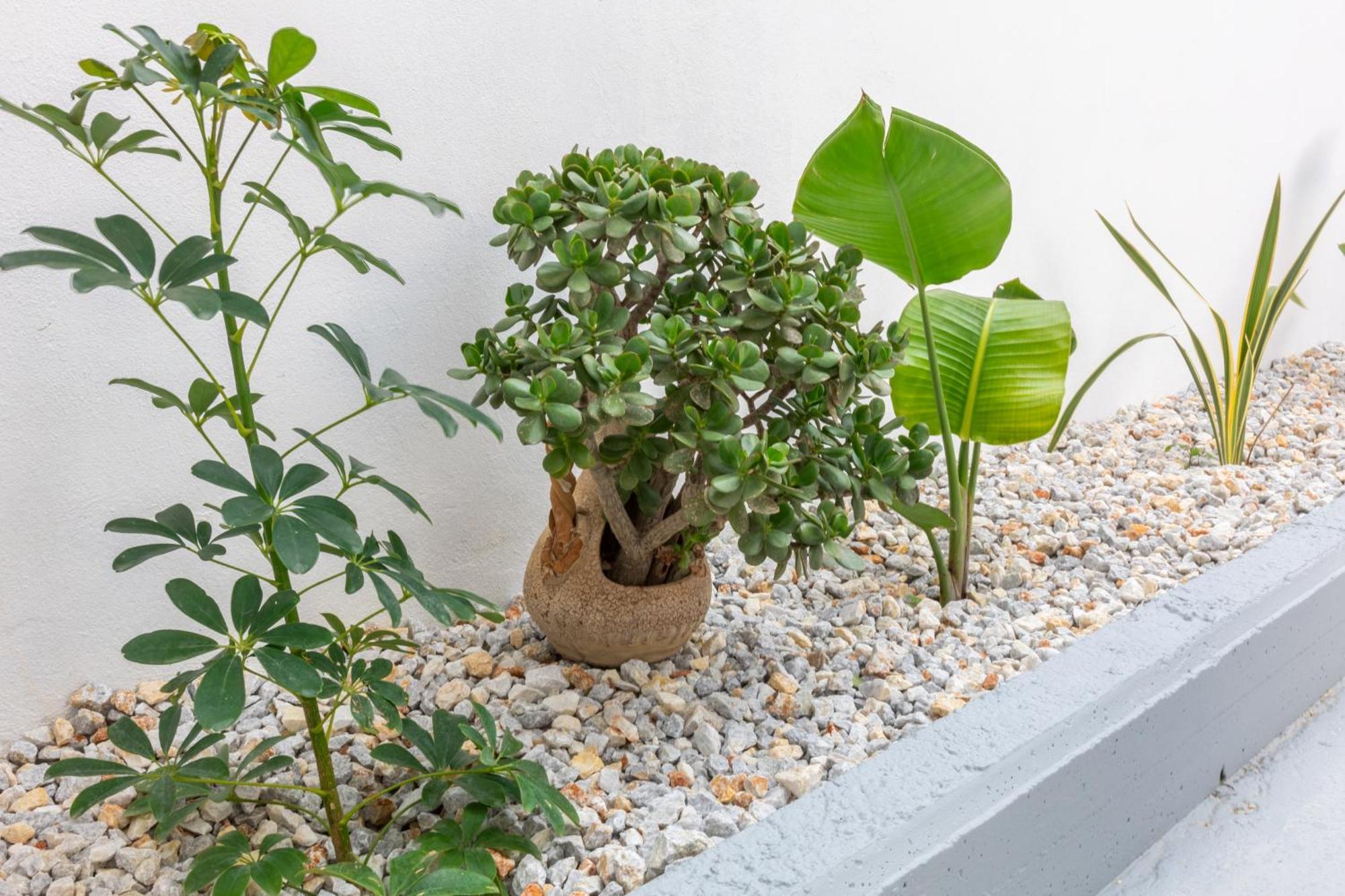 Garden Luxury Apartment Kandiye Dış mekan fotoğraf